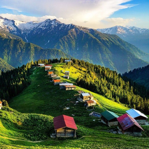 Pokut & Sal Yaylası Turu