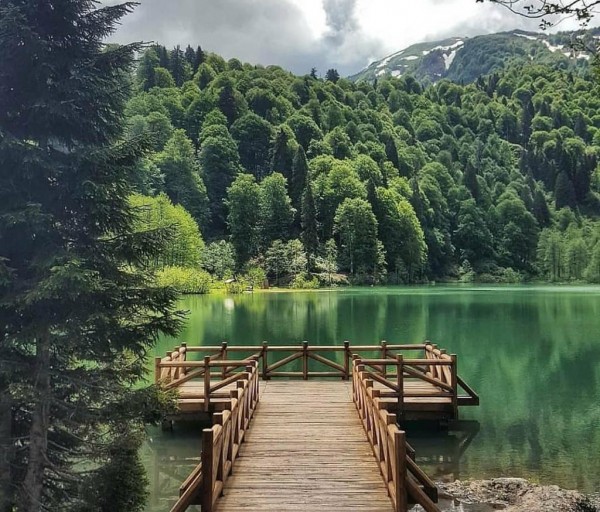 Borçka&Karagöl Turu